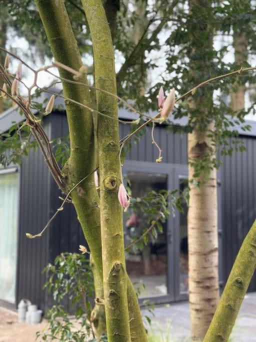 Veluwe Boutique Lodge Putten Eksteriør bilde